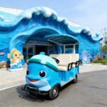 Four baby dolphins - Image 2