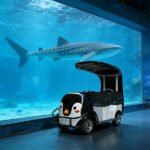 Four penguin - Image 2