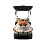 6-seater deer-shaped carriage - Image 4