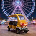 3-Seater Little Flying Fox - Image 4