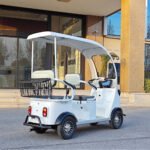 3-Seater Panda - Image 5