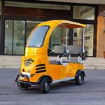 3-Seater Tiger - Image 2