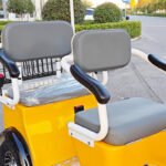 3-Seater Tiger - Image 7